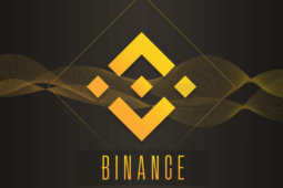 Binance: Review der grössten Krypto Trading Plattform